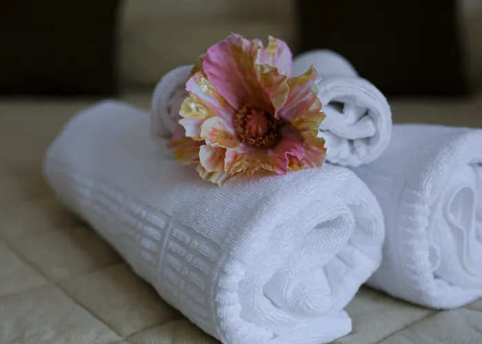 Lanfipe Palace 호텔 3*